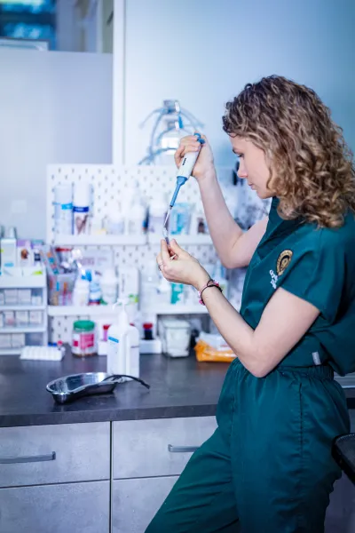 Gydytoja Ilona pipete perkelia mėginį į mėgintuvėlį klinikos laboratorijoje